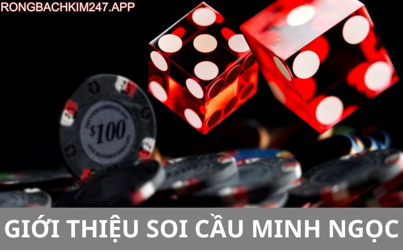 gioi-thieu-ve-soi-cau-minh-ngoc.jpg