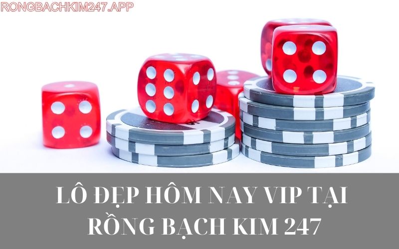 lo-dep-hom-nay-vip-tai-rong-bach-kim-247.jpg