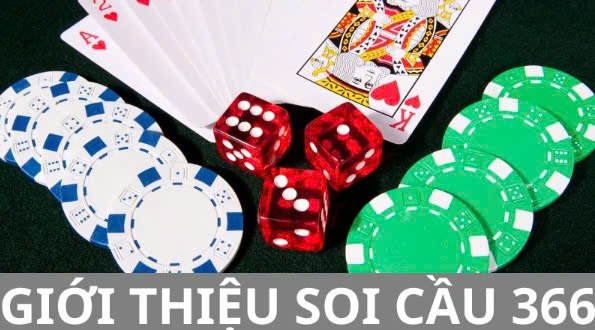 soi cau 366.jpg