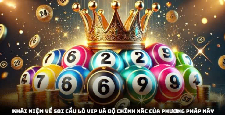 soi cau lo vip.jpg