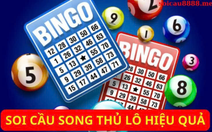 soi cau song thu lo.jpg