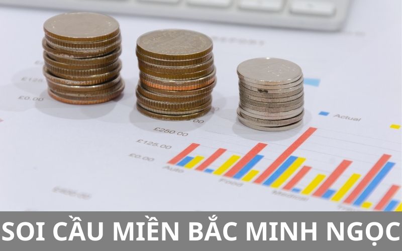 soi-cau-mien-bac-minh-ngoc.jpg
