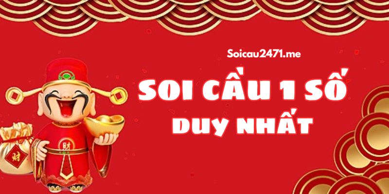 soi-cau-1-so-duy-nhat-04.jpg